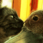 [방탄소년단] 이거 윤기랑 정국이래ㅋㅋㅋㅋㅋㅋ