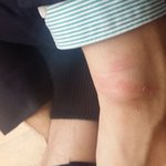 [조언부탁] 적반하장)일하던곳에서 월급도 못받고 체포당했습니다