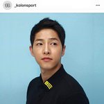 송중기부터 빈지노까지 꿀벌 살리기