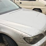 [꼭조언부탁] 파리때문에 살수가 없어요 도와주세요