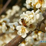 [EXO] <b>신실</b>한 마음