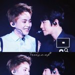 [EXO] 멍냥즈매력은이거임