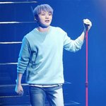 [세븐틴] 우리동네 비율킹