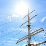 [방탄소년단] 바이꾹님 <b>본업</b> 바꾸셨음?