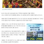 결국 기사까지 난 <b>AOA</b>점수조작