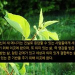 새 삶이라는 선물