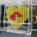 가로수길 수현<b>C</b>네 레모나하우스 갔다왔어요 ㅎ