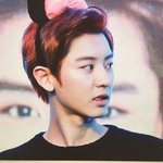 [EXO] 깐찬보고 <b>진정</b>하자