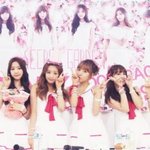 [에이핑크] <b>에핑</b>이들은 탈덕을 막는능력이 있음