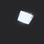 [<b>시이</b>발] 오줌 6시간 참았는데