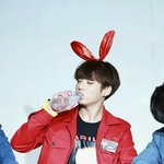 [방탄소년단] 팬싸에 토끼가 자리에서 일어나