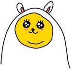 [<b>정화</b>요정] 옾챗머시기하는기다귀짤이야~~<b>정화</b>하고가