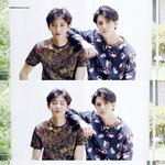 [EXO] 리펙 어떤 컨셉 했으면 좋겠냐?