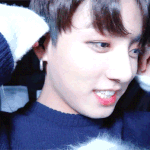 [방탄소년단] 정국아 섀도우 뭐 쓰니