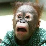 [드루와] 아이오아이 김청하 있잖아