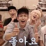 [세븐틴] 다필요없고 갓챔