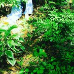 [EXO] 이거 ㄹㅇ 뮤<b>빈가</b>