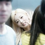 [에이핑크] 봄봄봄 <b>보미</b>왔네요