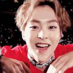 [댓글부탁해] 아이돌 씹더쿠 담당 햄찌상