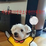 [방탄소년단] <b>아미</b><b>밤</b>합성해주고왔당ㅋㅋㅋㅋㅋㅋㅋㅋ
