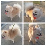 앤비이야기