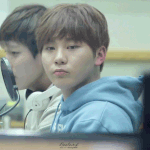 [세븐틴] <b>캐럿</b>떨 물어볼게 있는데