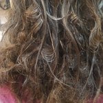 서현 미용실 신고하고싶어요 (후기글도 좋은것만 올리는곳)