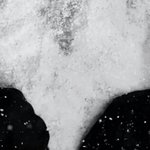 [EXO] 지금 내 앨범보유수 <b>현황</b>