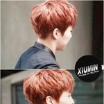[EXO] 시우민 개쩐다