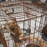 [평강공주] (반<b>송원</b>)세실의 눈물... _ (반)세실의 화상치료...