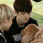 [세븐틴] 세봉이들말대로 우리<b>캐럿</b>떨 진짜단단해..