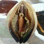 <b>조개</b> 드실분?