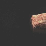 [EXO] 나도 좀 보이게 해봤는데