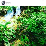 [EXO] <b>이사진</b>에도 뭐 있을것같음