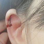 [댓글부탁해] <b>연골</b>귀걸이 잘아는 애들만
