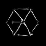 [EXO] 아무리 봐도 <b>치킨</b><b>뼈</b>같은데