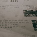 [댓글부탁해] 중2수학문제<b>불어</b>주실분