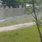 전학갈까 나어떻게ㅠㅠ 방구 녀 된듯ㅅㅂㅅㅂ