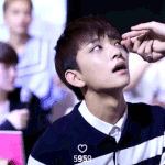 [세븐틴] ㅅㄷ 이거 볼때마다 근지러움