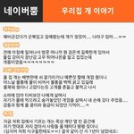 [댓글헌터] 우리집 개 이야기 2탄^^ <댓글헌터 50>