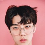 [EXO] 이<b>정도</b>면 조심스레 변신<b>물</b>을..