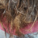 [댓글부탁해] <b>분당</b> 서현 미용실을 신고합니다. 도와주세요