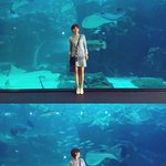 핵기욤 소담소담