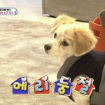 [EXO] 럭키원 티저에 노래 <b>한</b><b>소절</b>정도 나올듯