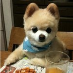 애들아 자기 <b>패디</b>큐어 자랑하고가!!
