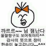 [댓글부탁해] 돈아깝다vs아니다 추반 좀