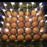 [댓글부탁해] 부평지상 <b>월욜</b>에문닫음?