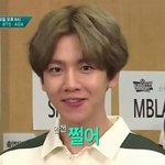 [EXO] 현재 궁예상황