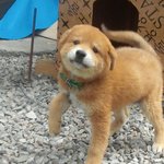 [인피니트] 오늘 <b>남우현</b> 비주얼
