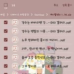 [EXO] 디오집착하며 계속 허위사실 정치질하는애야